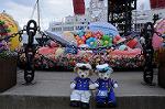Dcim8901/DSC_2221
