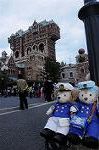 Dcim8901/DSC_2228