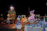 Dcim8903/DSC_2451