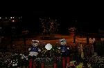 Dcim8905/DSC_2666