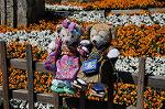 Dcim8908/DSC_3034
