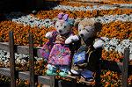 Dcim8908/DSC_3039