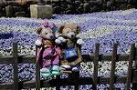 Dcim8908/DSC_3044