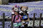 Dcim8908/DSC_3046