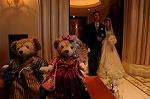 Dcim8912/DSC_3558
