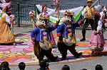 Dcim8922/DSC_4753