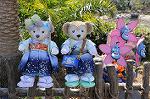 Dcim8925/DSC_5182