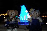 Dcim8931/DSC_6062
