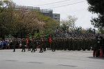 Dcim8937/DSC_6666
