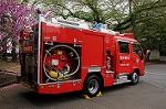 Dcim8943/DSC_7505