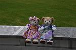 Dcim8945/DSC_7599