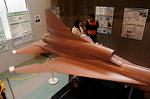 Dcim8949/DSC_8214