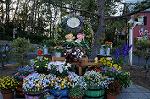 Dcim8966/DSC_0398