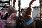 Dcim8966/DSC_0436
