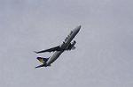 Dcim8979/DSC_1902