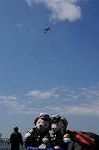 Dcim8980/DSC_2003