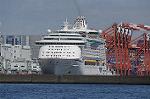Dcim8980/DSC_2008