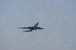 Dcim8980/DSC_2014
