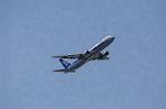 Dcim8981/DSC_2115
