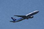 Dcim8981/DSC_2134