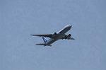 Dcim8981/DSC_2138