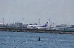 Dcim8981/DSC_2146