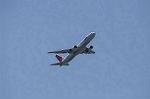 Dcim8981/DSC_2171
