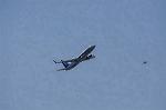 Dcim8981/DSC_2179