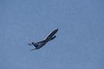 Dcim8981/DSC_2180