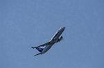 Dcim8981/DSC_2181