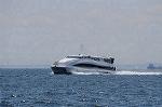 Dcim8981/DSC_2186