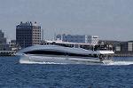 Dcim8981/DSC_2197