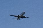 Dcim8981/DSC_2214