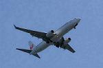 Dcim8981/DSC_2217