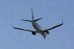 Dcim8981/DSC_2219