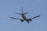 Dcim8981/DSC_2220