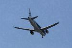 Dcim8981/DSC_2228