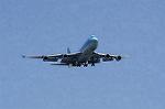 Dcim8982/DSC_2249