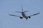 Dcim8982/DSC_2286