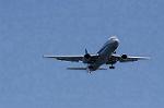 Dcim8982/DSC_2337