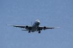 Dcim8982/DSC_2356