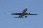 Dcim8982/DSC_2375