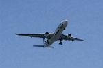 Dcim8983/DSC_2377