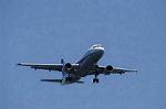 Dcim8983/DSC_2394