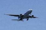 Dcim8983/DSC_2415