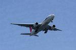 Dcim8983/DSC_2439