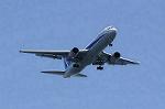 Dcim8983/DSC_2446