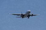 Dcim8983/DSC_2451