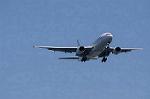 Dcim8983/DSC_2452