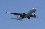 Dcim8983/DSC_2455